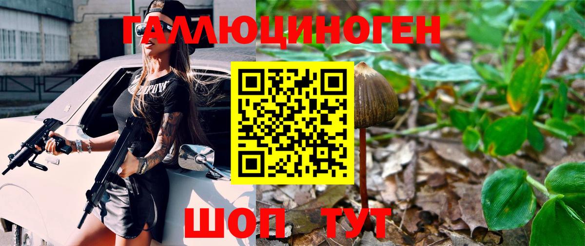 Галлюциногенные грибы мухоморы Киселёвск